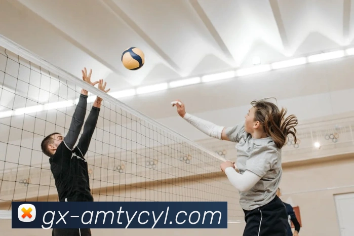 澳门太阳城APP 封面图